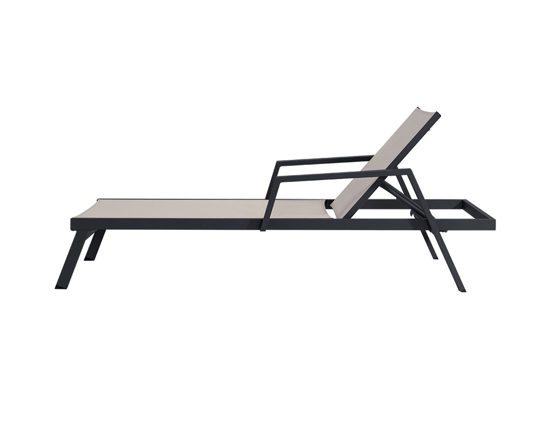 Dotterel Sun Lounger Colour: Grey