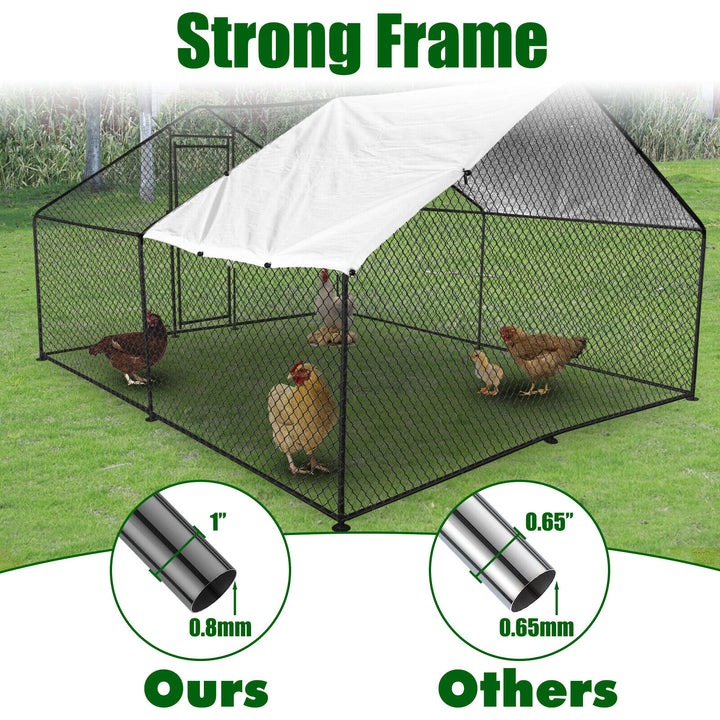 Durable Outdoor Chicken Run with Cover - 300x200x200cm