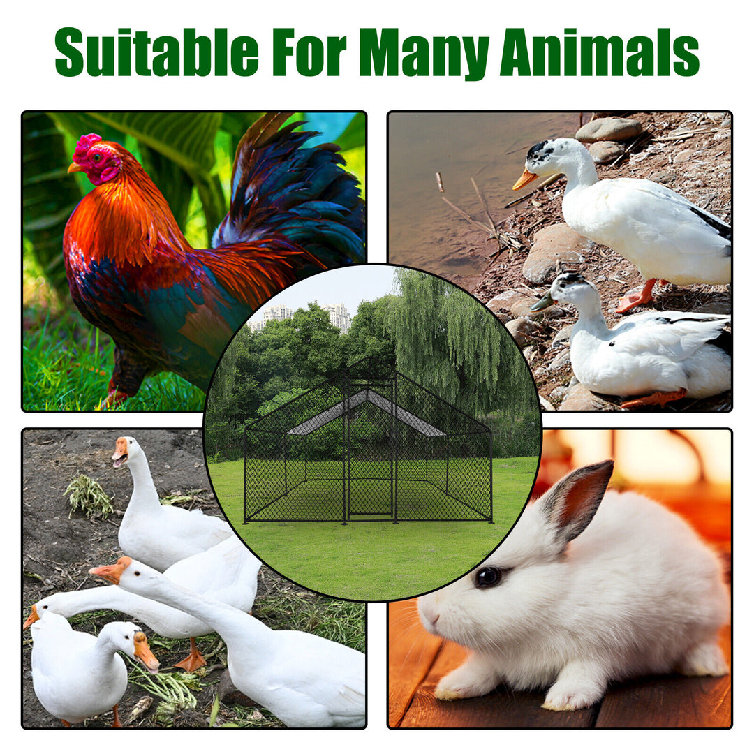 Durable Outdoor Chicken Run with Cover - 300x200x200cm