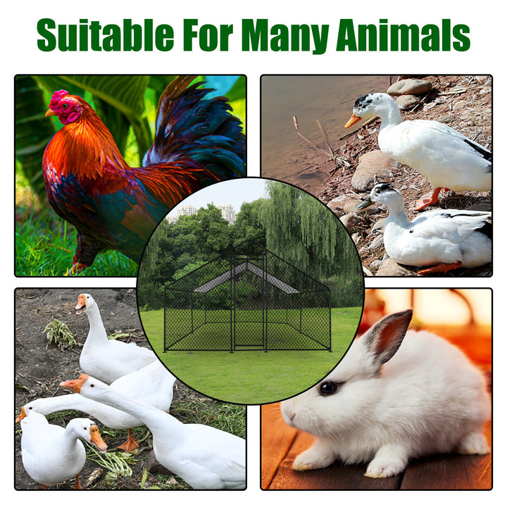 Durable Outdoor Chicken Run with Cover - 300x200x200cm