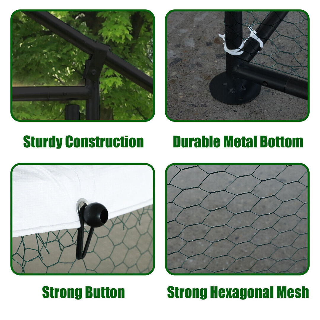 Durable Outdoor Chicken Run with Cover - 300x200x200cm