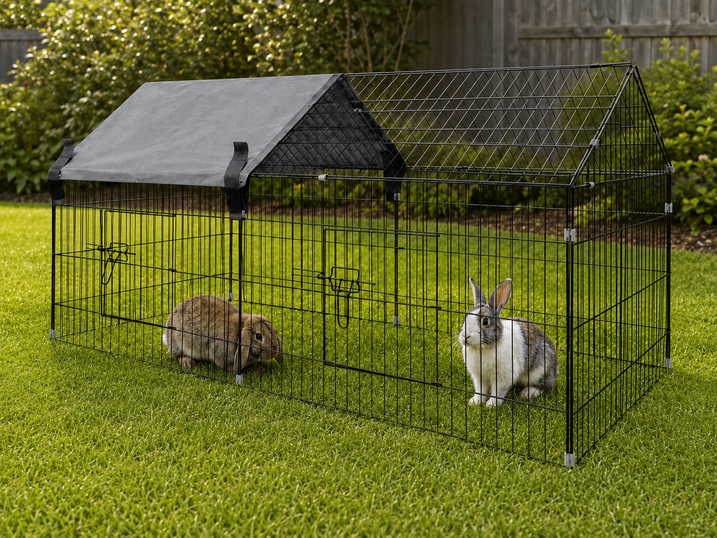 Rabbit Run