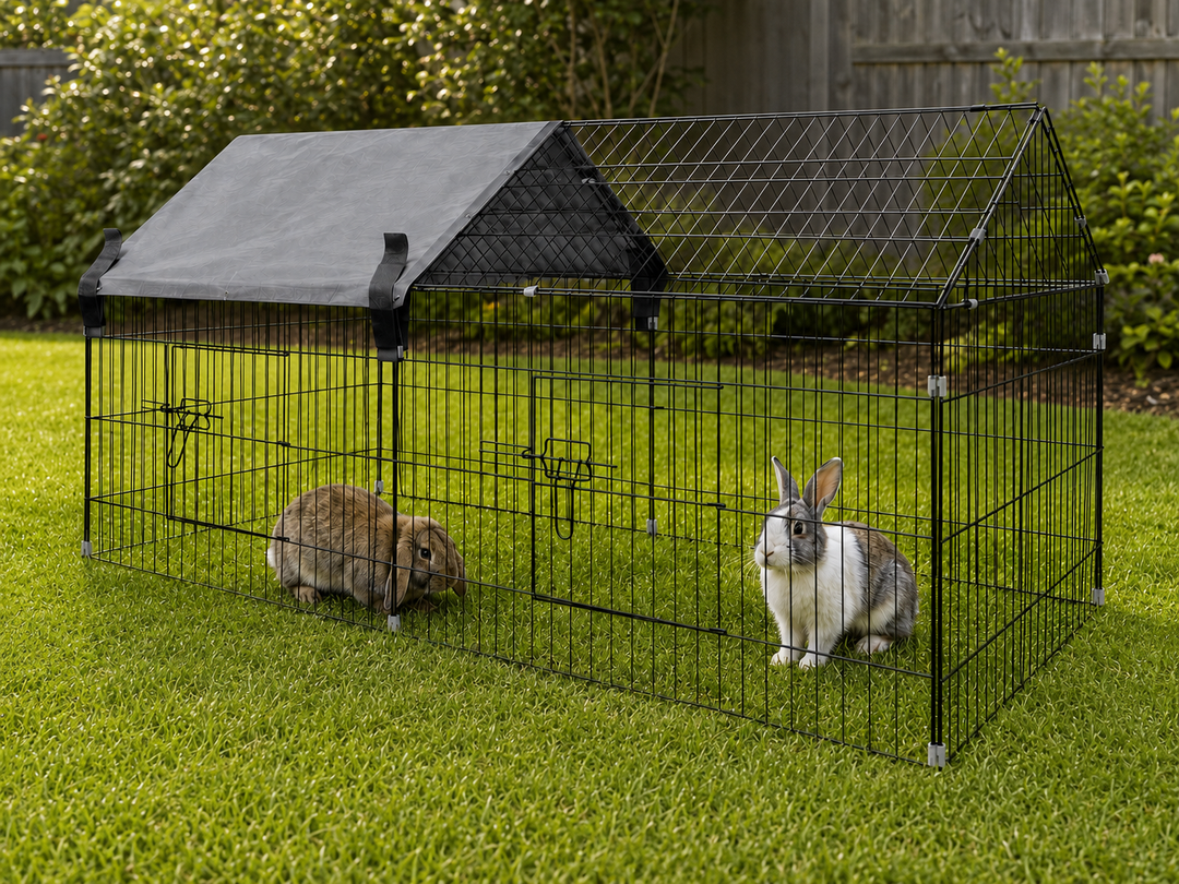 Rabbit Run