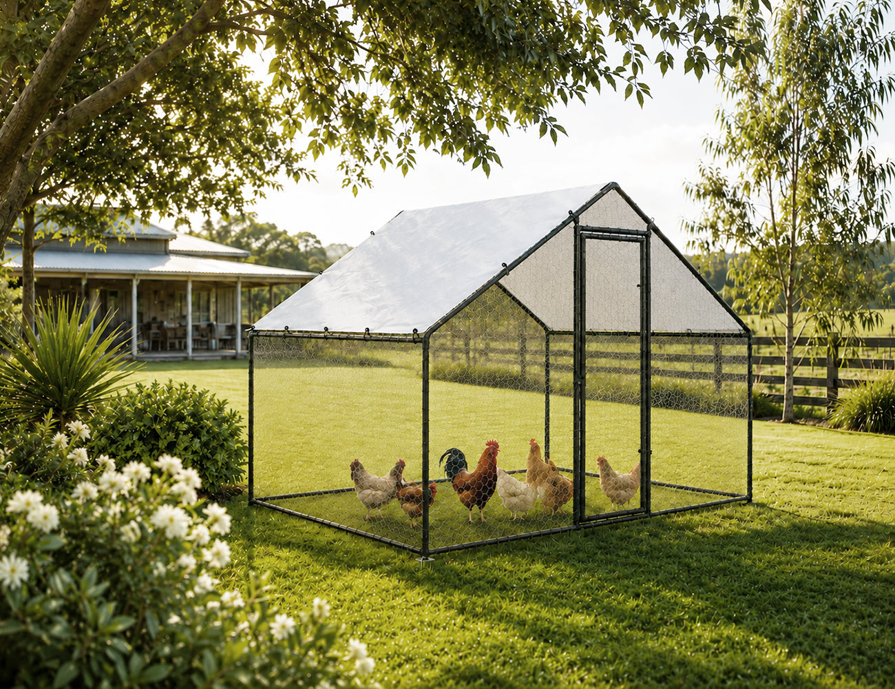 Pets & Farm