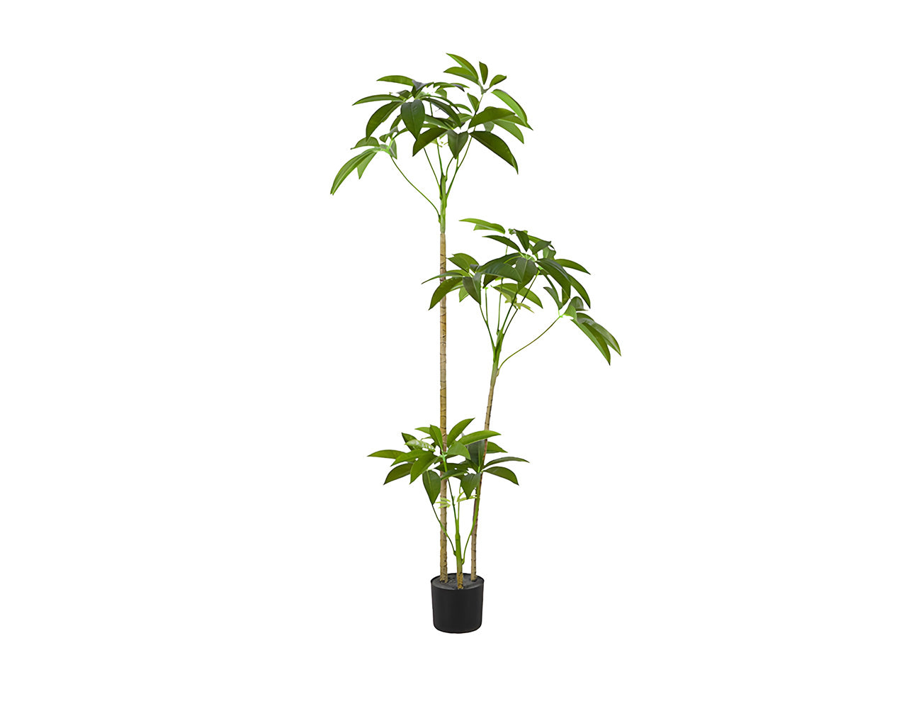 Artificial Money Tree-180CM