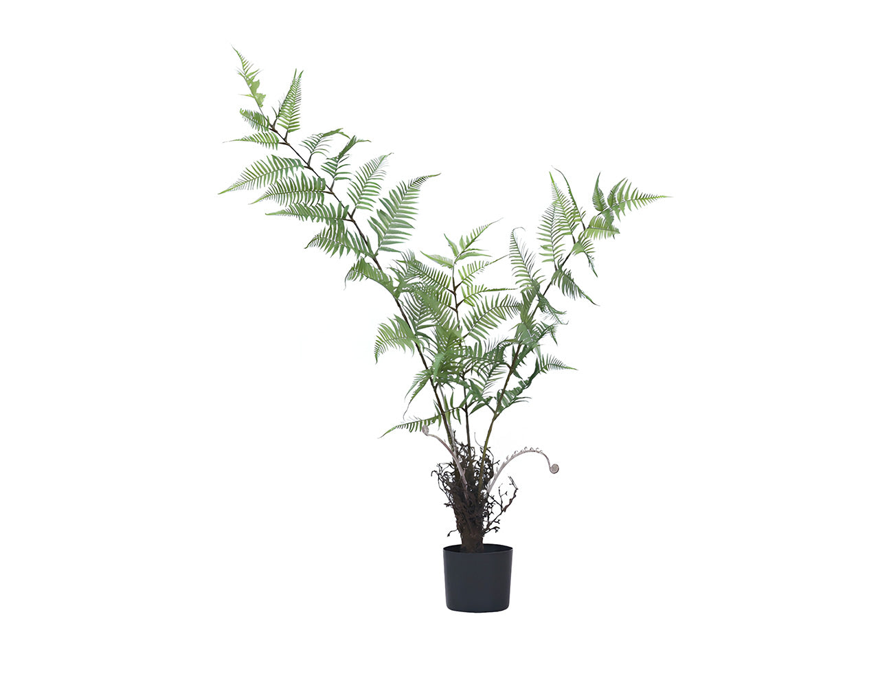 Artificial Monkey Fern-120CM