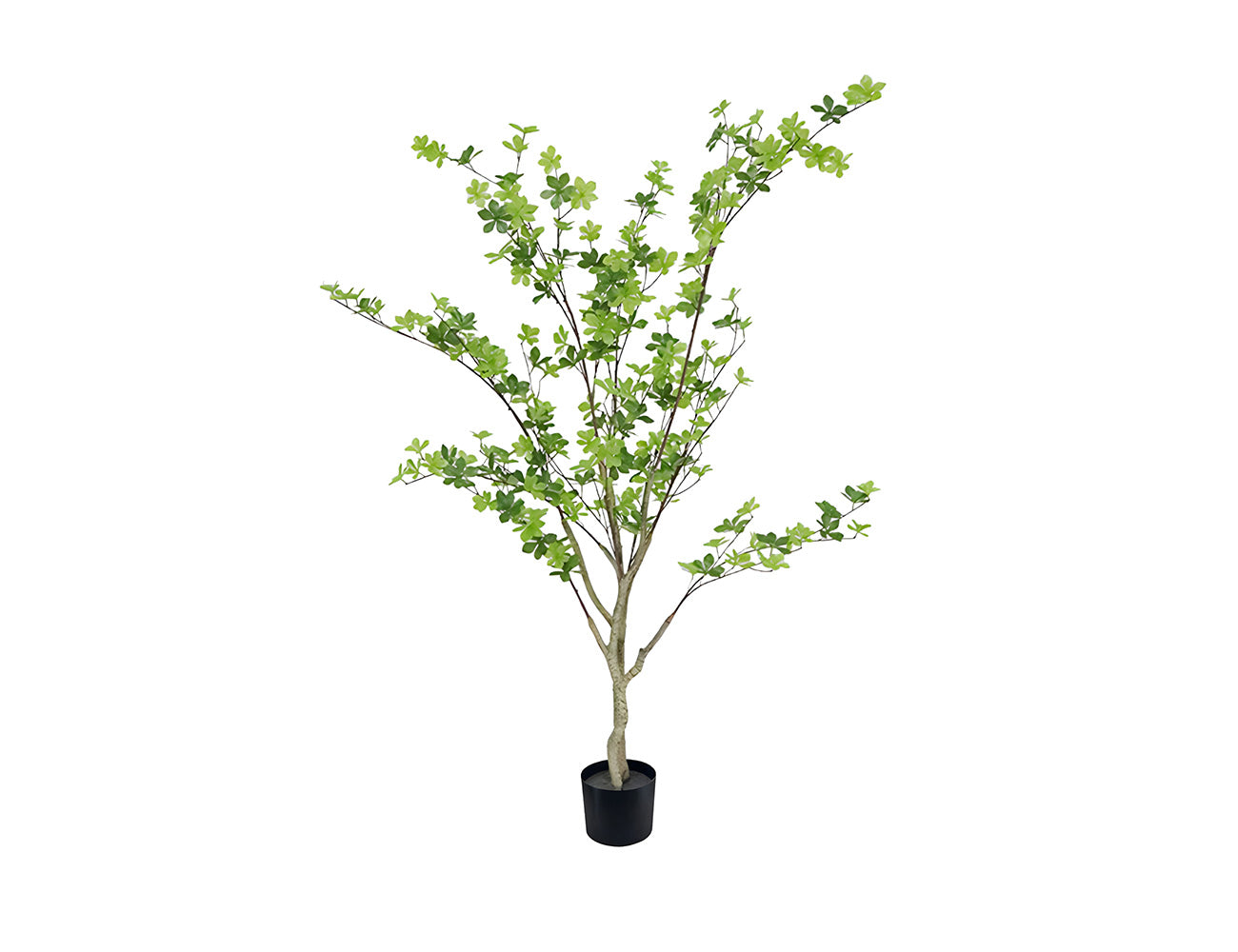 Artificial Fuchsia Without Flowers-160CM