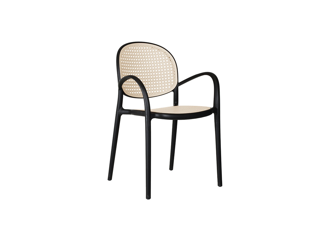 Ada Outdoor Dinning Chair