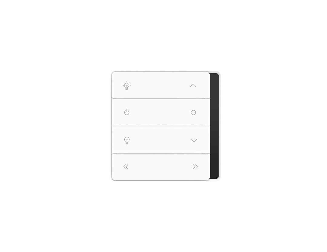 Rainier Multi-Channel Wall Controller