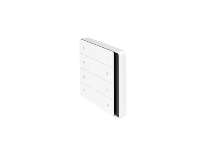 Rainier Multi-Channel Wall Controller