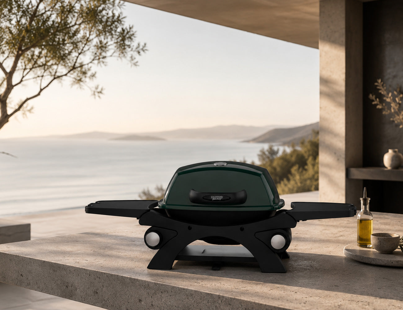 Rover Portable Gas BBQ - Duo